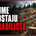 Skandal u HBŽ: Novi zakon otvara vrata gradnji na šumama, stručnjaci upozoravaju na kršenje državnih propisa!