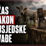 Nakon verbalnog sukoba sjekirom napao pet krava, policija sumnjiči M.M.