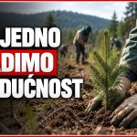Šumarija Tomislavgrad traži radnike za jesensko pošumljavanje: Poznata naknada i datum početka radova