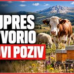 KUPRES IZDVAJA 30.000 KM ZA POLJOPRIVREDNIKE: Prijave uskoro završavaju, a jedan uvjet može presuditi